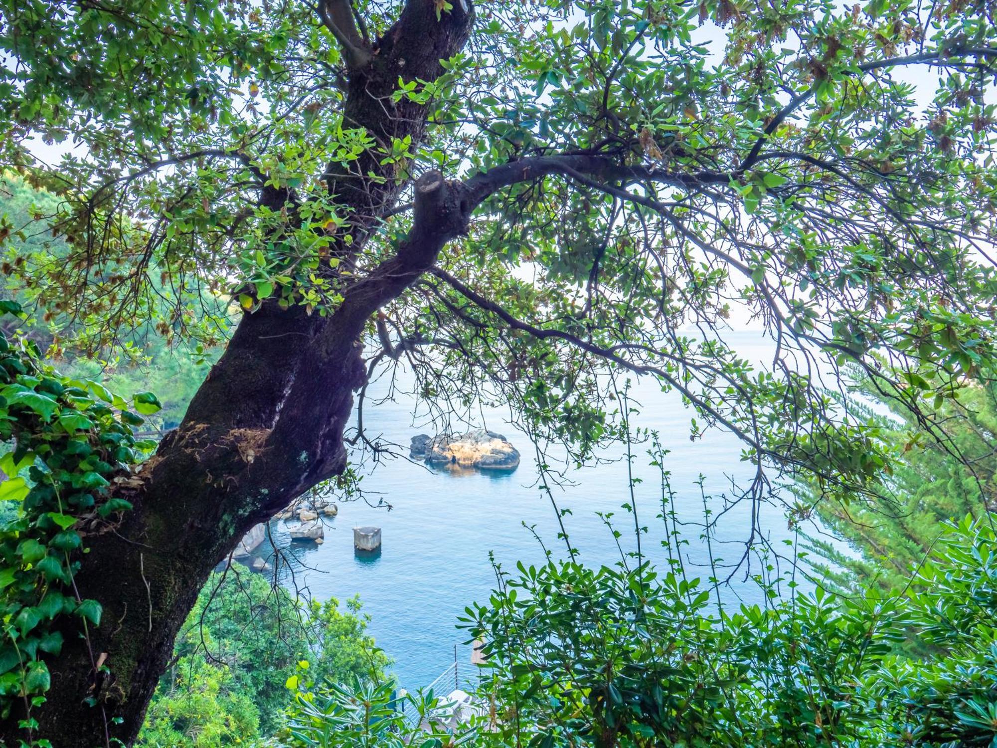 Hotel Il Nido Tellaro